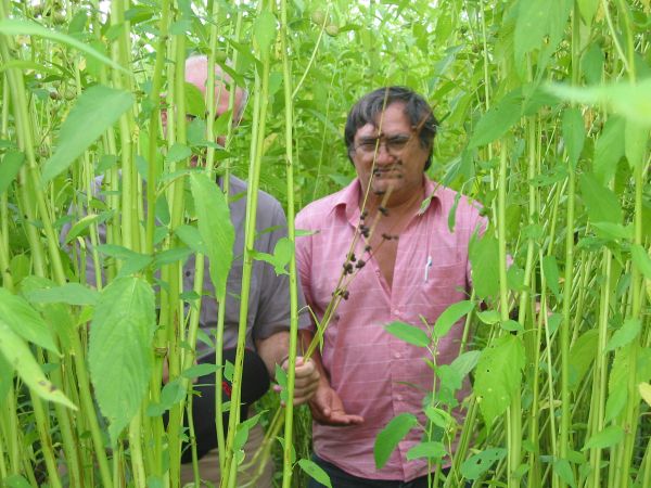 Amigo de fé, meu irmão camarada - 11.11.2022 